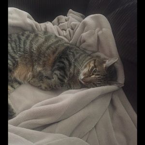 Meet your Posher, Jack